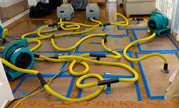 Professional Storm Water Damage Restoration technician working in Standish, MI
